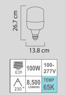 LED HW-100W 65K E39 100-277V