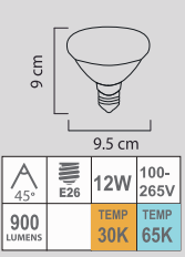 LED PAR30 12W E26 100-265V