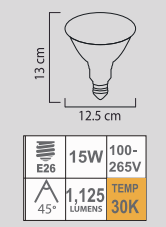 LED PAR38 15W 30k E26 100-265V